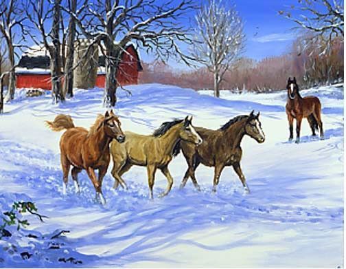 chevaux dans la neige
