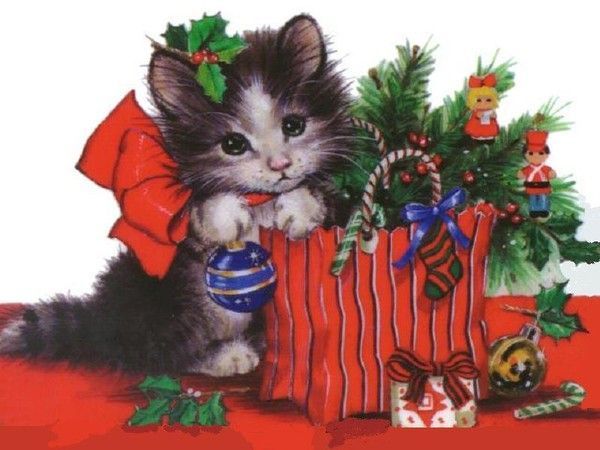 chat avec des décorations de Noël