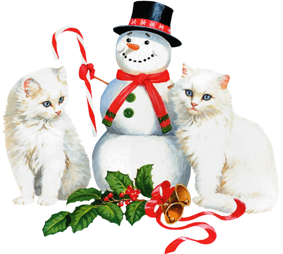 chats blancs avec un bonhomme de neige