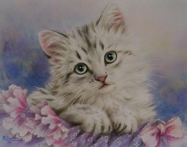 chat blanc avec des yeux bleux