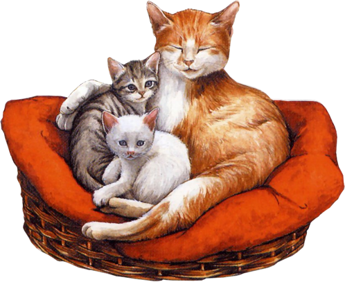 chatte avec ses deux chatons