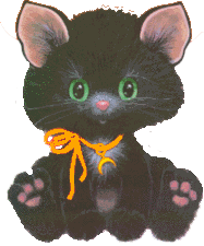 chat noir avec un noeud orange