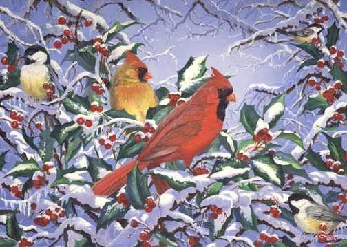 oiseaux dans un houx en hiver