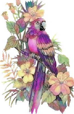 perroquet violet sur un branche