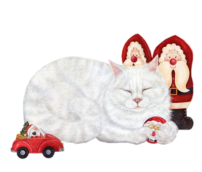 chat blanc avec des jouets
