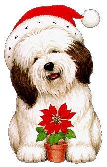 chien avec une rose de Noël