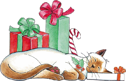 chat endormi avec des cadeaux