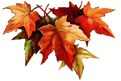 feuilles d'automne 9