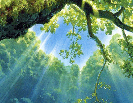rayons de soleil dans un arbre