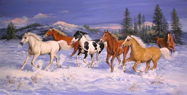 chevaux qui galopent dans la neige