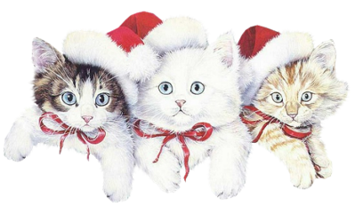 chats avec des bonnets de Noël