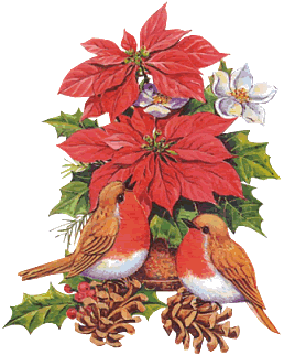 oiseaux avec fleurs de Noël