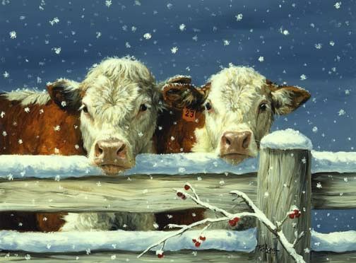 vaches en hiver sous la neige