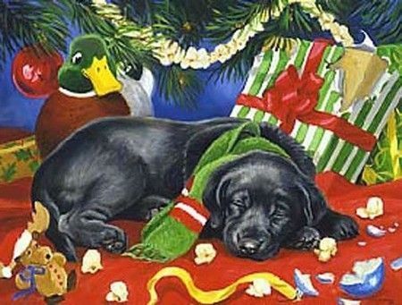 labrador endormi sous le sapin avec les cadeaux