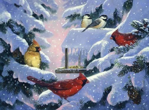 oiseaux en hiver avec la neige