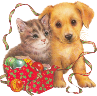 chat avec chien et des boules de Noël