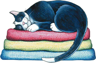 chat couché sur des couvertures