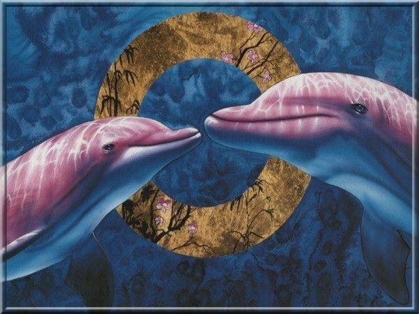 dauphins roses 34