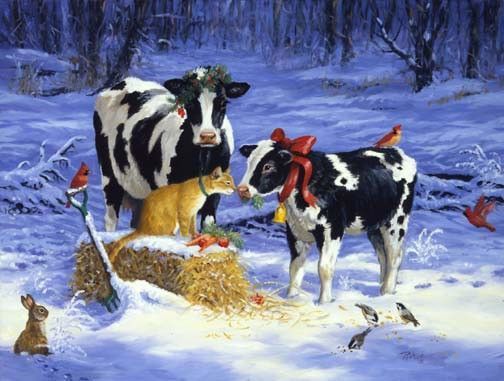 vaches avec un chat dans la neige
