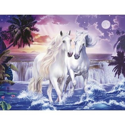chevaux blancs courant dans l'eau