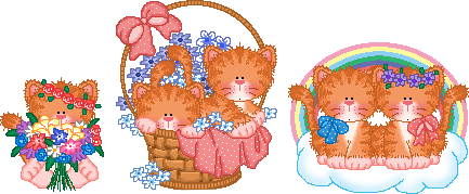 chattes avec des fleurs