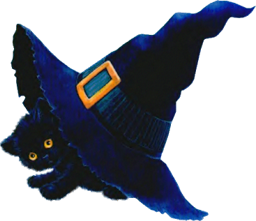 chat sous un chapeau de sorcière 36