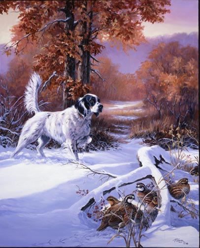 chien à la chasse en hiver