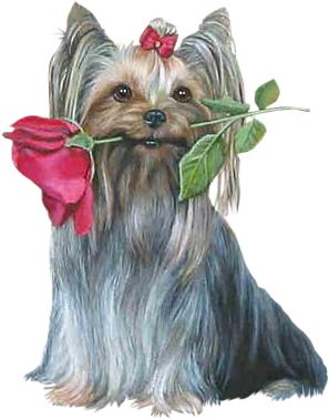 chien avec une fleur