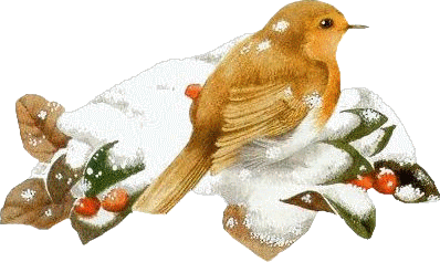 Résultat d’images pour Gifs Oiseaux hiver