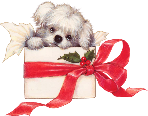 chien dans une boîte à Noël 