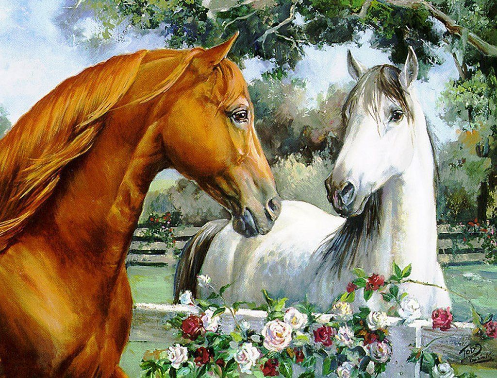 chevaux un blanc et un marron